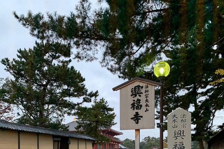 Nara Gardens and Temples Private Guided Tour with Transport