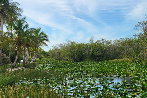 Everglades: boat tour with transportation&amp; entrance included