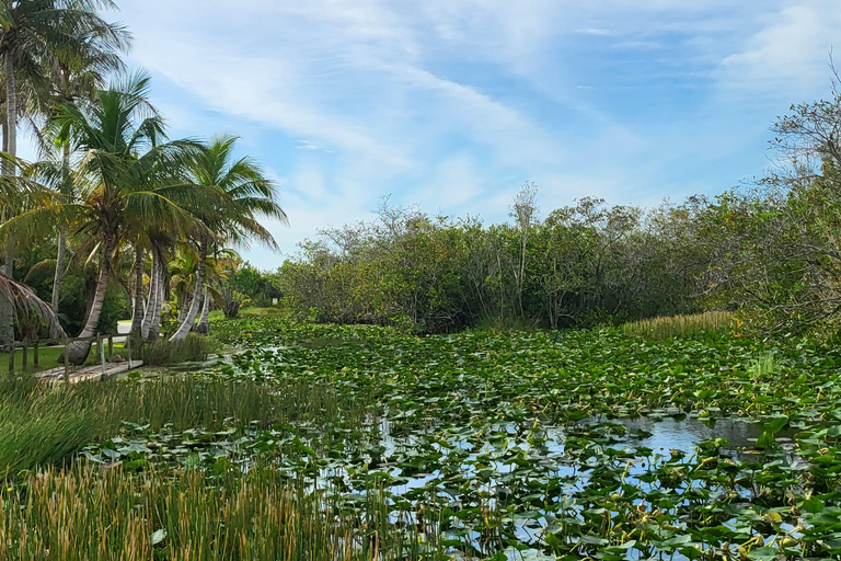 Everglades: boat tour with transportation& entrance included