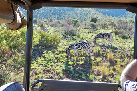 Joanesburgo: Passeio de carro de 3 horas pelo Parque Nacional Pilanesberg