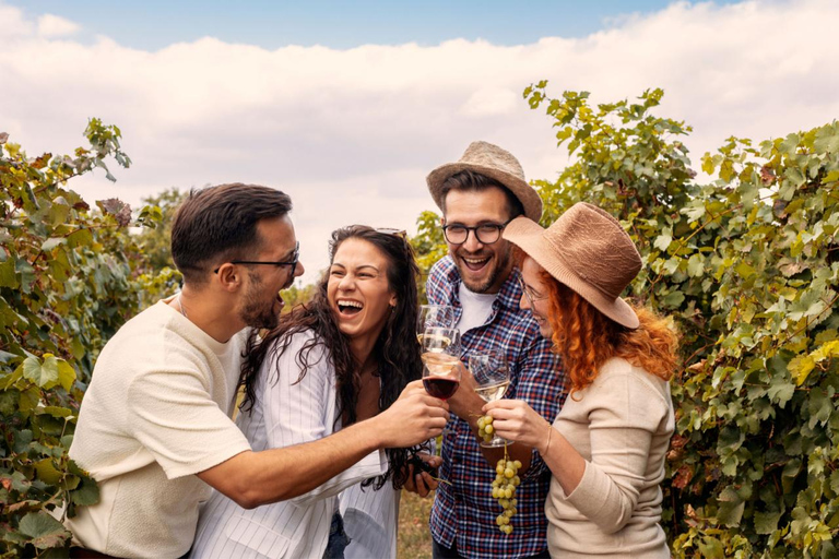 Tour privato a piedi nel vigneto di Baden Neuweirs