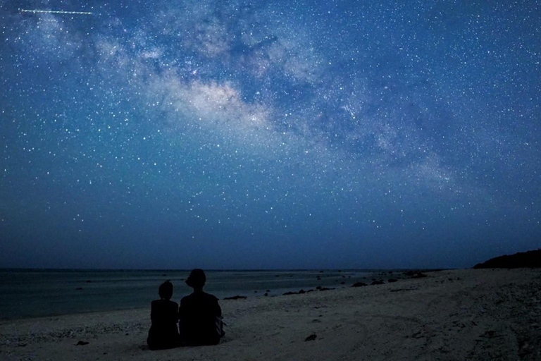 Yonaguni Island: Stargazing and Jungle Night Tour