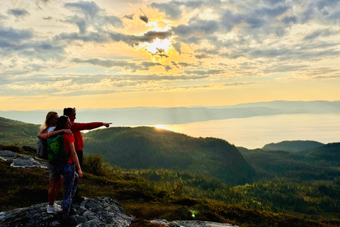 Trondheim: Gråkallen Guided Hike in Bymarka