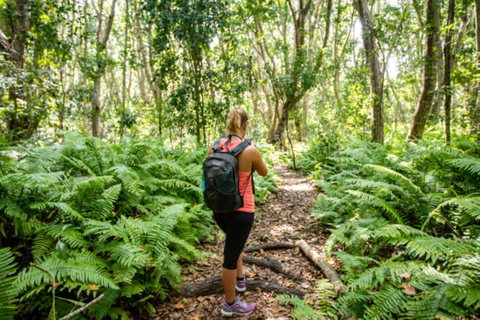 Zanzibar: Jozani forest, Butterfly & Tortoise sanctuary tour Tour with Hotel pickup & drop-off included