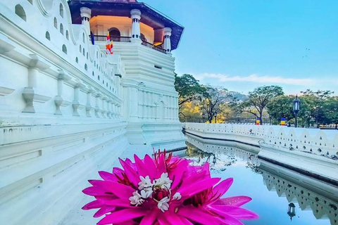 Sigiriya to Kandy Sightseeing Transfer