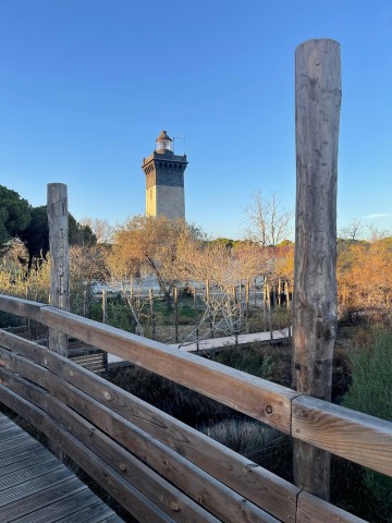 Visit Visit Camargue and Espiguette Lighthouse from Montpellier in Montpellier