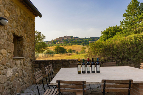 Visita a Bodegas y Cata de Vinos con Comida cerca de Livorno y PisaInglés