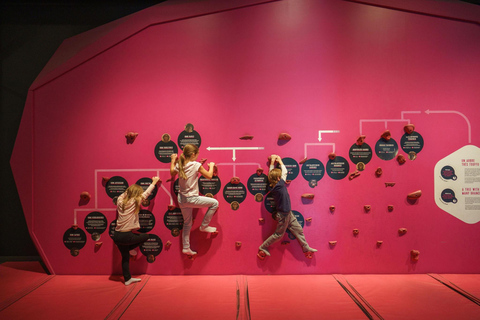 Montreal: Science Centre Entry Ticket