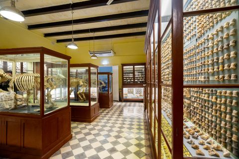 马耳他史前寺庙之旅