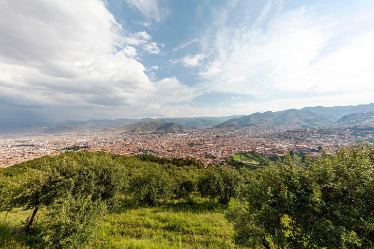 Cusco: Q&#039;enco arkeologiska komplex Privat tur med inträde