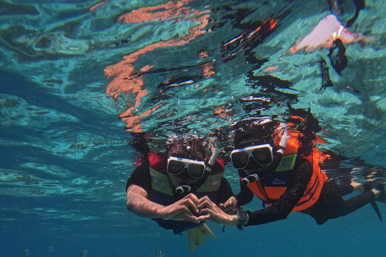 Lombok: Gili Islands Snorkeling Tour with Hotel Pickup Provate snorkling gili island with camera underwater