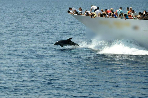 From Thessaloniki: Mount Athos Cruise & Ouranoupoli