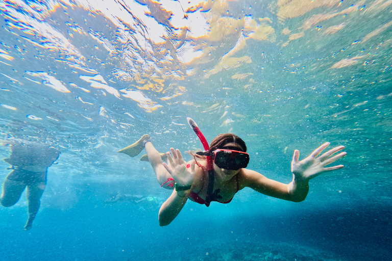 Nusa Penida: Snorkeling Adventure 3-Spots with Manta Rays Nusa Penida: Snorkeling Manta Point 3-Spots with Manta Rays