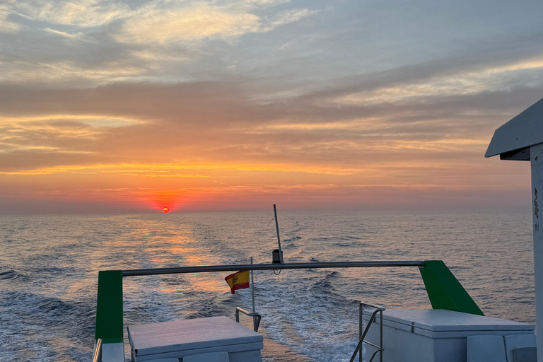 Mallorca:2.5h Boat trip Sea Adventure—Cruise, Swim & Explore Mallorca: 2.5-Hour Sea Adventure — Cruise, Swim & Explore!