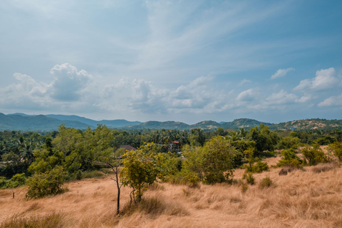 Goa Sud: Sentiero del patrimonio Chandor