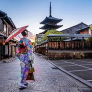 Kyoto: Private Customizable Day Tour with Guide and Vehicle