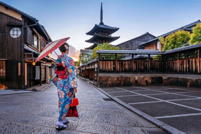 Kyoto: Private Customizable Day Tour with Guide and Vehicle