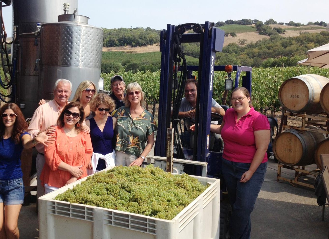 Napa Valley: guidet vintur med picnicfrokost