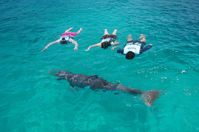 Cancun: dolfijnen en Garrafon Reef Park met buffet