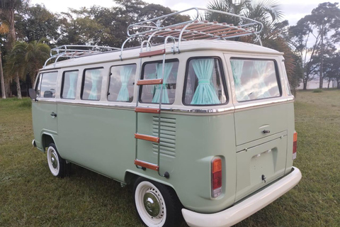 Genoa sightseeing in a hippie Volkswagen with wine Genoa tour in a hippie Volkswagen with wine