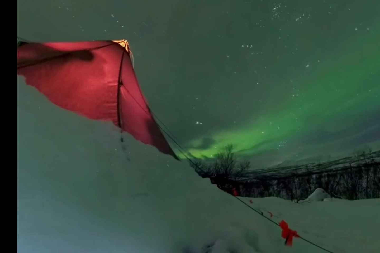 Excursión Auroras Boreales en Abisko con Cachorros de Husky