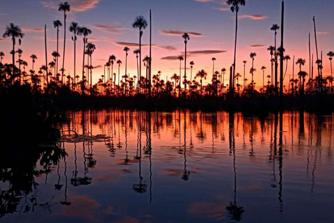 From Puerto Maldonado || 3-hour sunset boat ride