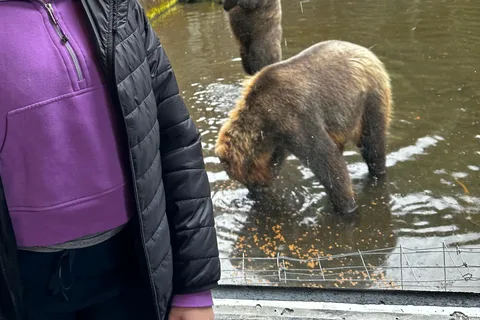 Sitka’s Favorite Sites Private Land and Bear Tour