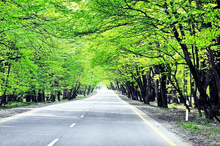 Baku: 2-Day Azerbaijan Tour with Option to Cross to Georgia