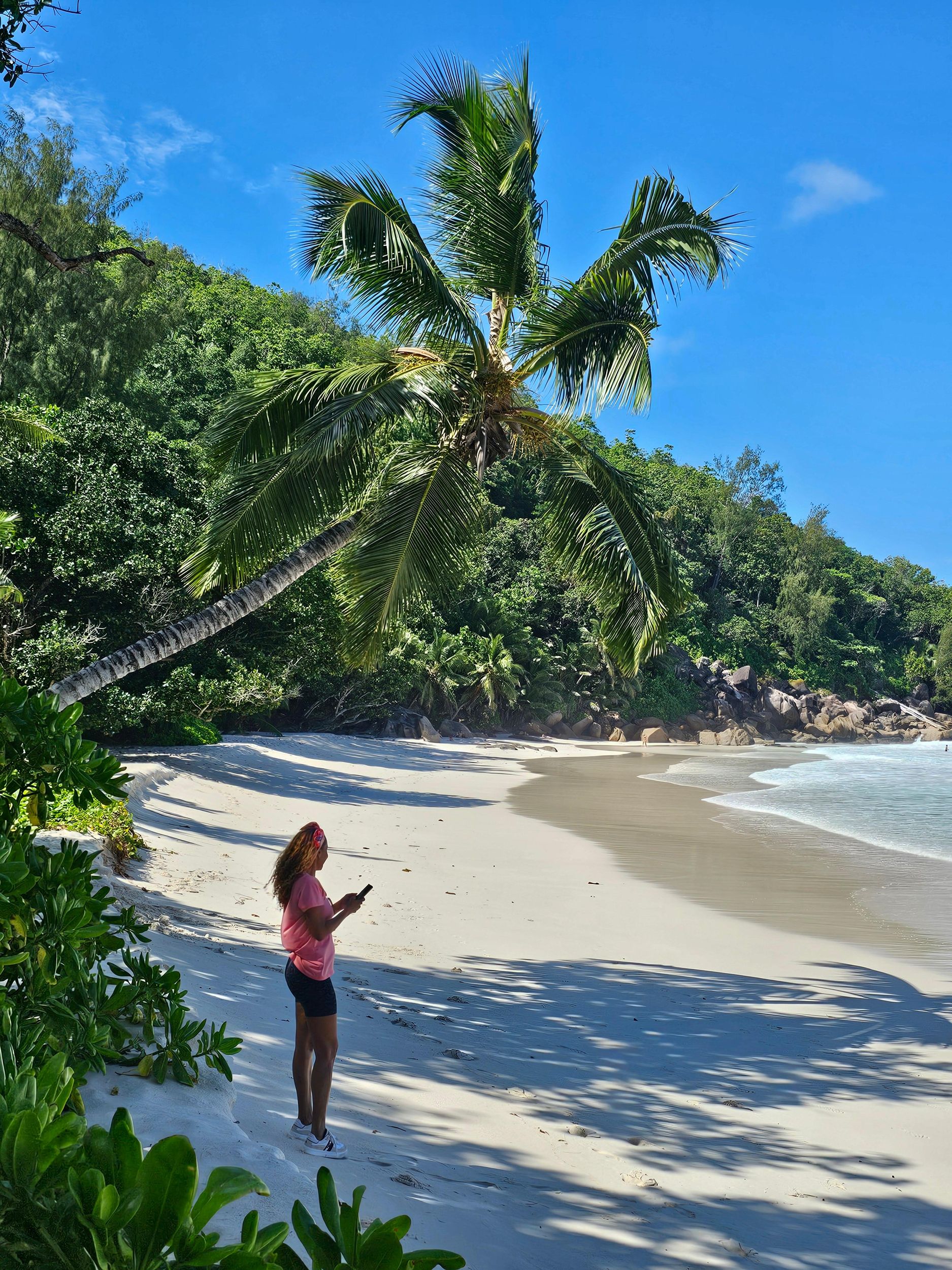 Praslin: Ganztägige private Tour