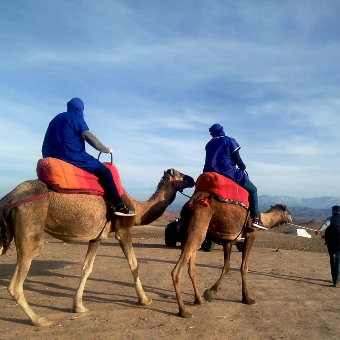 Depuis Marrakech : Balade à dos de chameau au coucher du soleil dans le désert d'Agafay - dromadaire