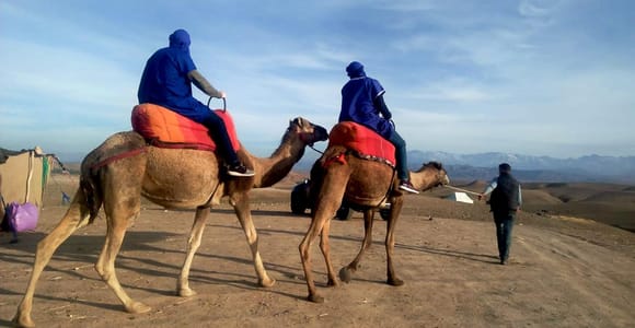 Depuis Marrakech : Balade à dos de chameau au coucher du soleil dans le désert d&#39;Agafay