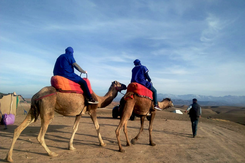 Från Marrakech: Kameltur i Agafay-öknen vid solnedgångenFrån Marrakech: Kamelritt i solnedgången i Agafayöknen