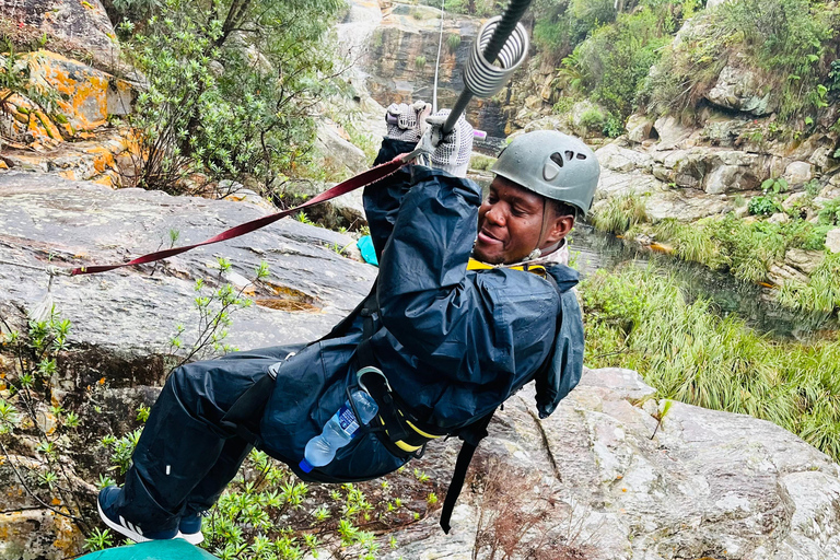 Tsitsikamma Day Trip with Optional Activities