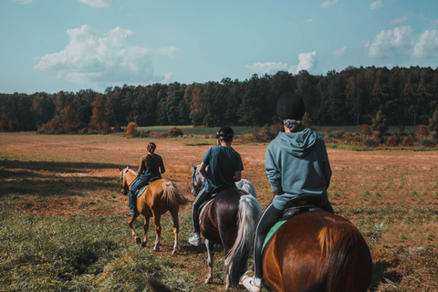 Ibiza: Evening Horseback Ride & Hotel Pickup Ibiza: Golden Hour Horseback Ride & Hotel Pickup