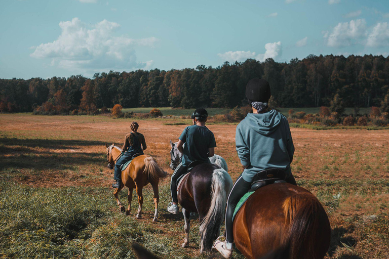 Ibiza: Evening Horseback Ride & Hotel Pickup Ibiza: Golden Hour Horseback Ride & Hotel Pickup