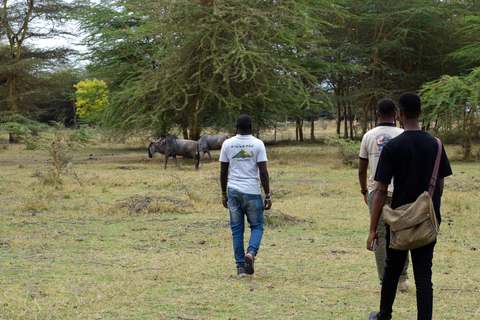 Mto wa Mbu: Waterfall, Maasai Boma, Village, & Balaa Hill Mto wa Mbu Tour & Canoe Ride on Lake Manyara