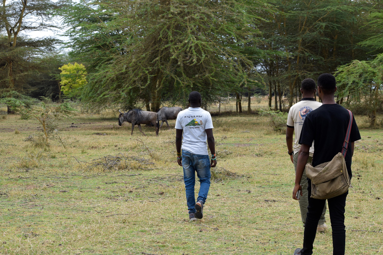 Mto wa Mbu: Waterfall, Maasai Boma, Village, & Balaa Hill Mto wa Mbu Tour & Canoe Ride on Lake Manyara