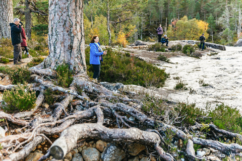 Desde Inverness Excursión a Glen Affric, Culloden y Clava Cairns