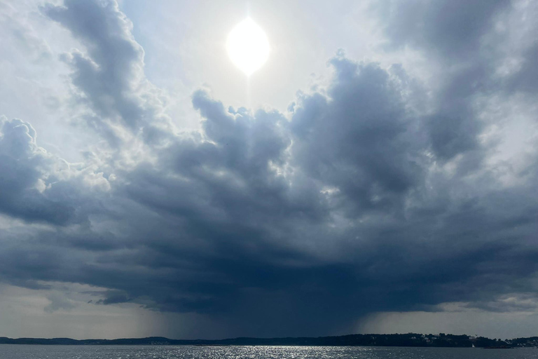 Oslo Fjord Exploration: Private Day Trip with Island Landing