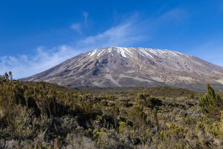 Monte Kilimanjaro : Caminhada de um dia no Kilimanjaro pela rota Marangu