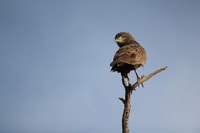 Panorama Route - Housity