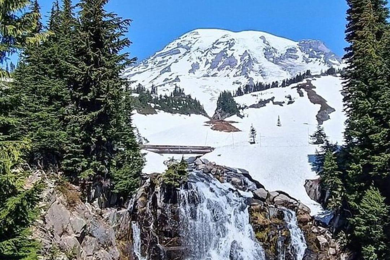 Visite privée du Mont Rainier au départ de Portland