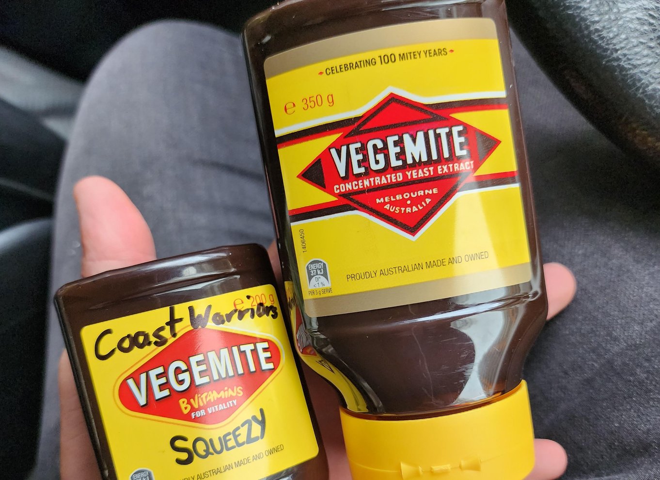 Fra Sydney: Blue Mountains-tur med vandfaldsvandring og frokost