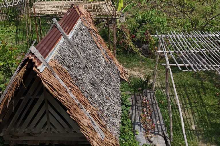 El Nido, Sibaltan: Local Organic Farm Tour & Product Tasting Farm Tour: 2 to 5