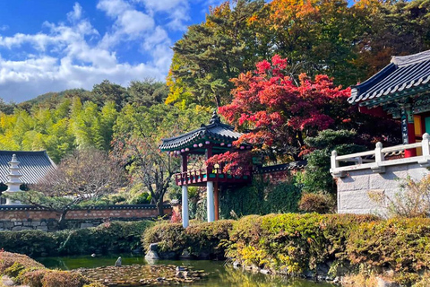 Busan: Discovery Tour With Snow &amp; UNESCO Spot