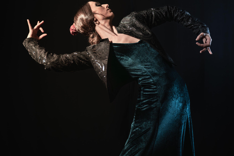 Málaga: E-Bike City Tour with Gibralfaro Forest Group E-Bike City Tour