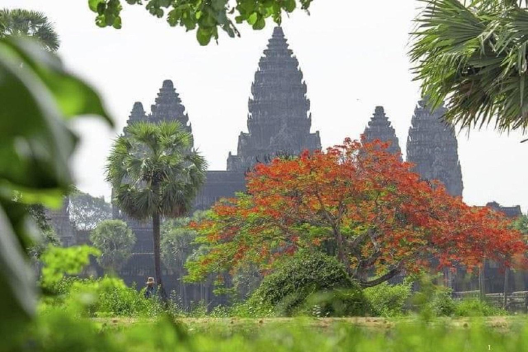 Siem Reap: Utforska Angkor 2 dagar med spansktalande guide2-dagars rundtur i liten grupp i portugisiska