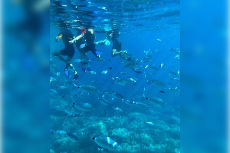 Cargèse: Capo Rosso "Snorkeling" and Sea Cave Tour Cargèse: Capo Rosso ramble with fins, mask and snorkel