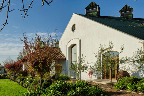 &quot;Casas del Bosque vingård - Premium Tour.&quot;