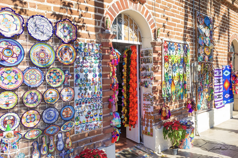La Paz: Todos Santos Day Trip